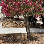 Solar Dos Lirios
