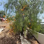בית נופש Solar Dos Lirios