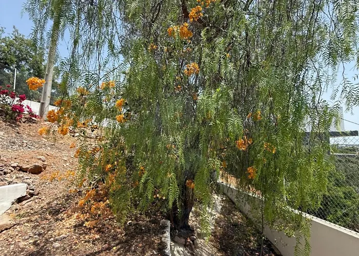 Dom wakacyjny Solar Dos Lirios