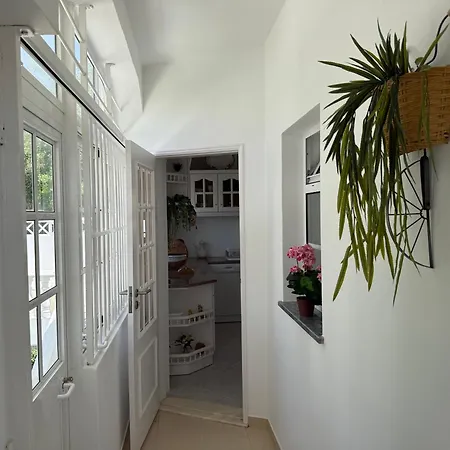 Solar Dos Lirios Holiday home *