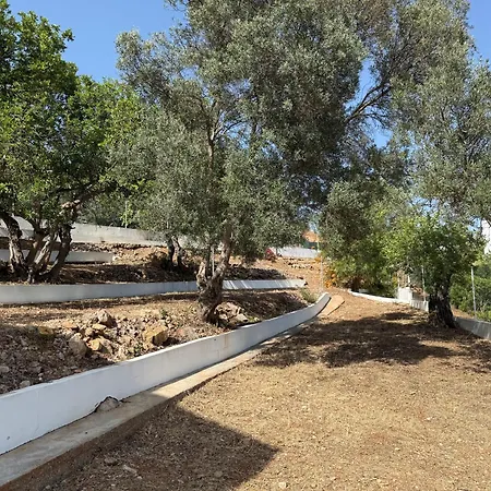 Solar Dos Lirios Holiday home