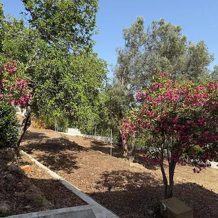 Solar Dos Lirios Holiday home Loule