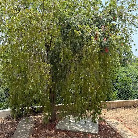Solar Dos Lirios