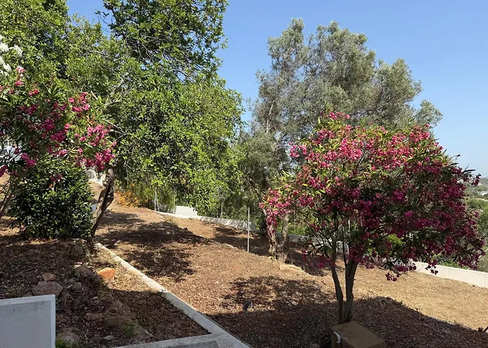 Solar Dos Lirios 別荘 ローレ