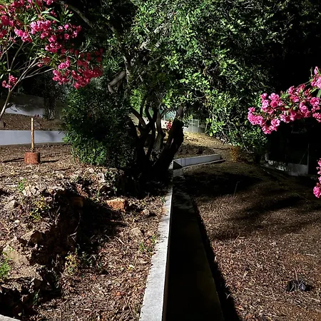 Vakantiehuis Solar Dos Lirios *