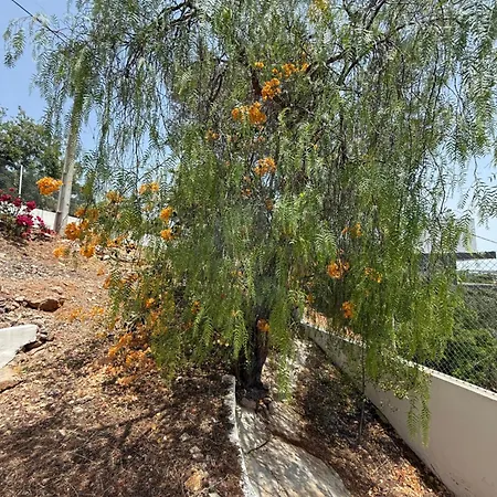 Vakantiehuis Solar Dos Lirios